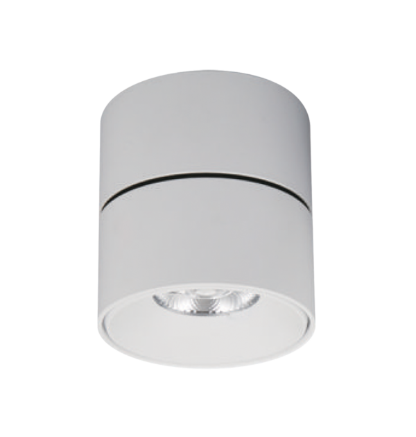 PLF255012