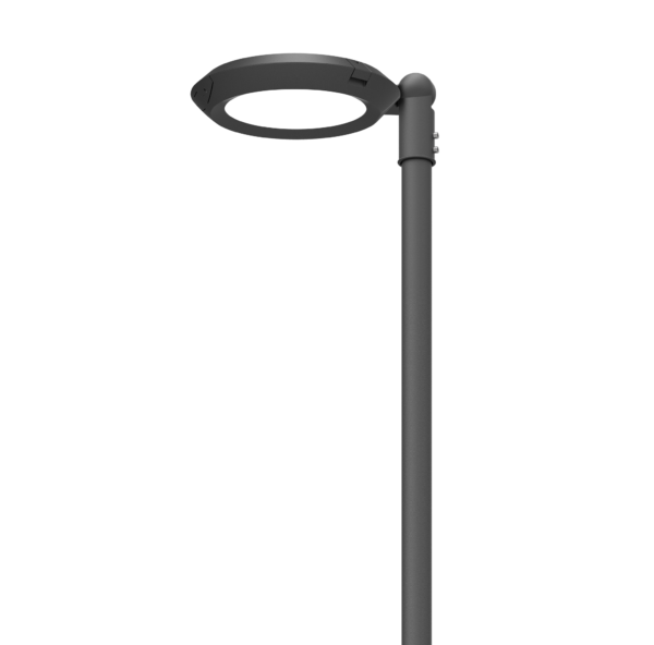 PLP315035
