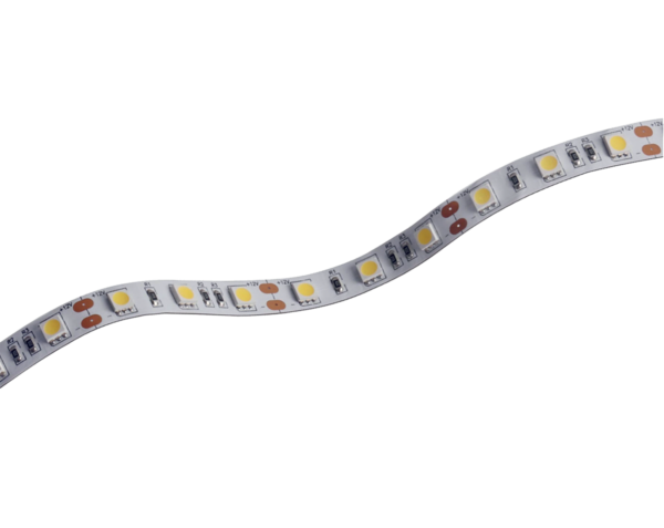 PL500004