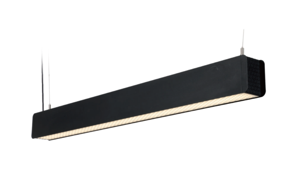 PLF06015