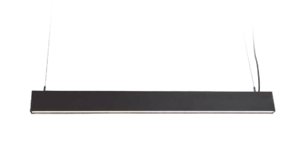 PLA015030