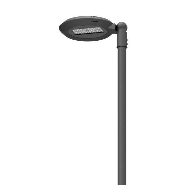PLP316024