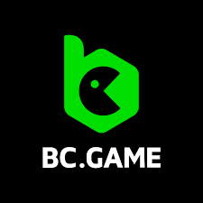A Comprehensive Guide to BC.Game Play