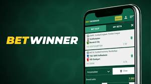 How to Install Betwinner Android App A Step-by-Step Guide